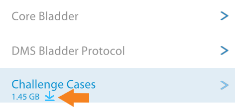 Challenge Cases with download arrow highlighted.png