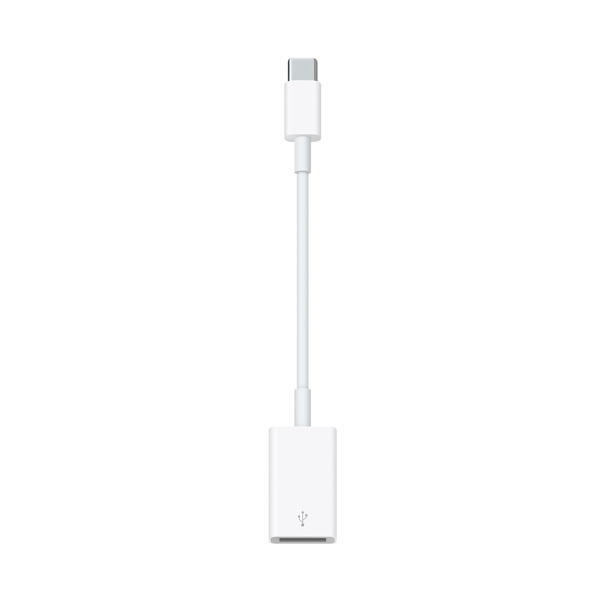 apple adapter.jpg